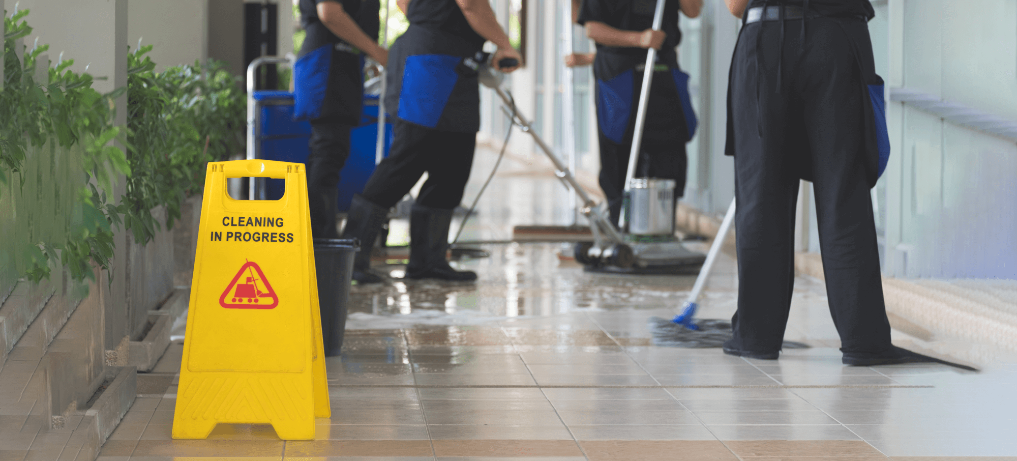 Town & Country Office Cleaning Services, Scottsdale Arizona